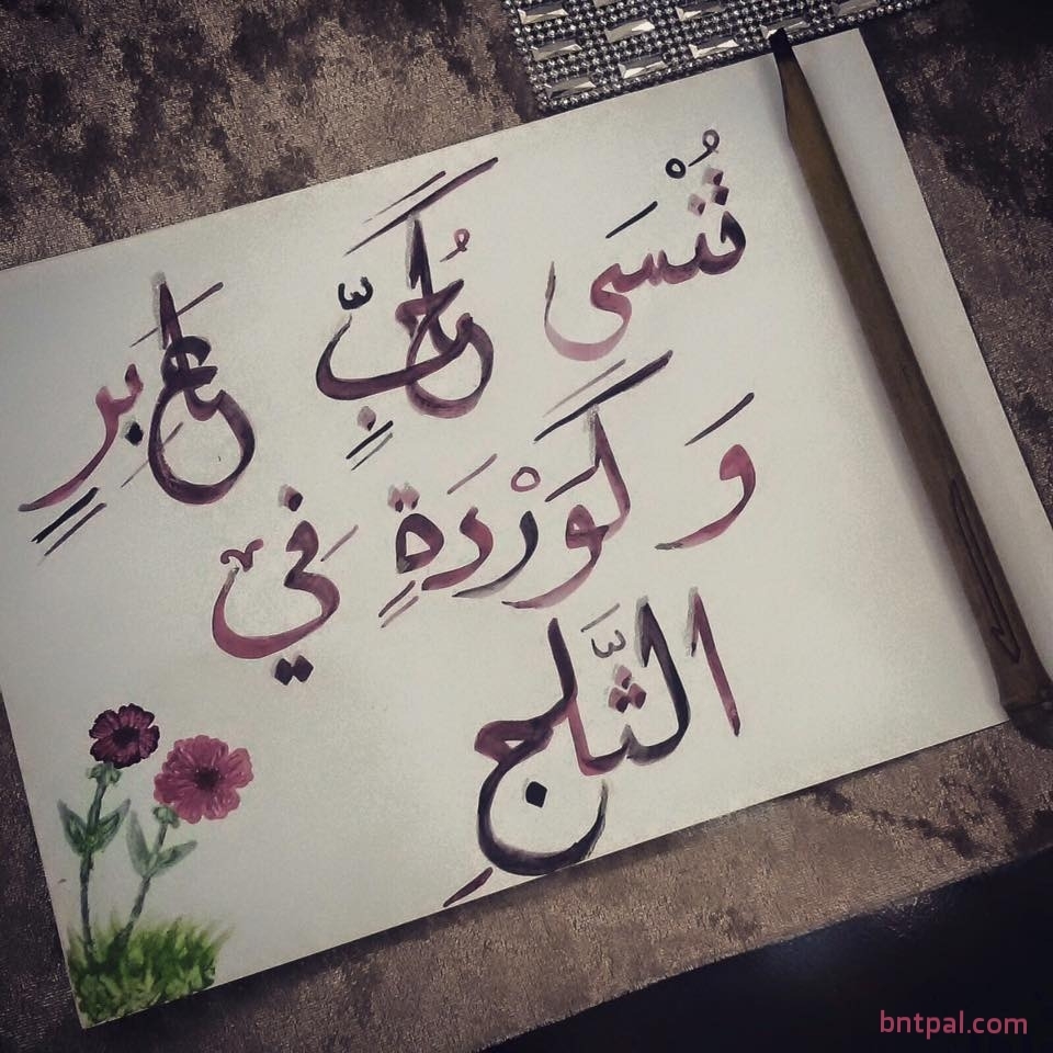   bntpal_1456840391_98