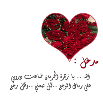 bntpal_1456905385_44