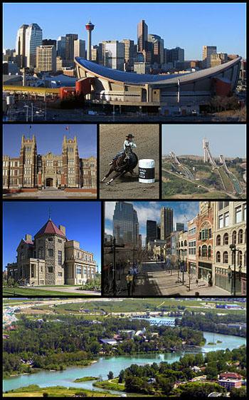  bntpal_1457072026_82