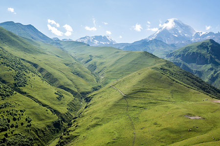 ,,  bntpal_1457125255_66