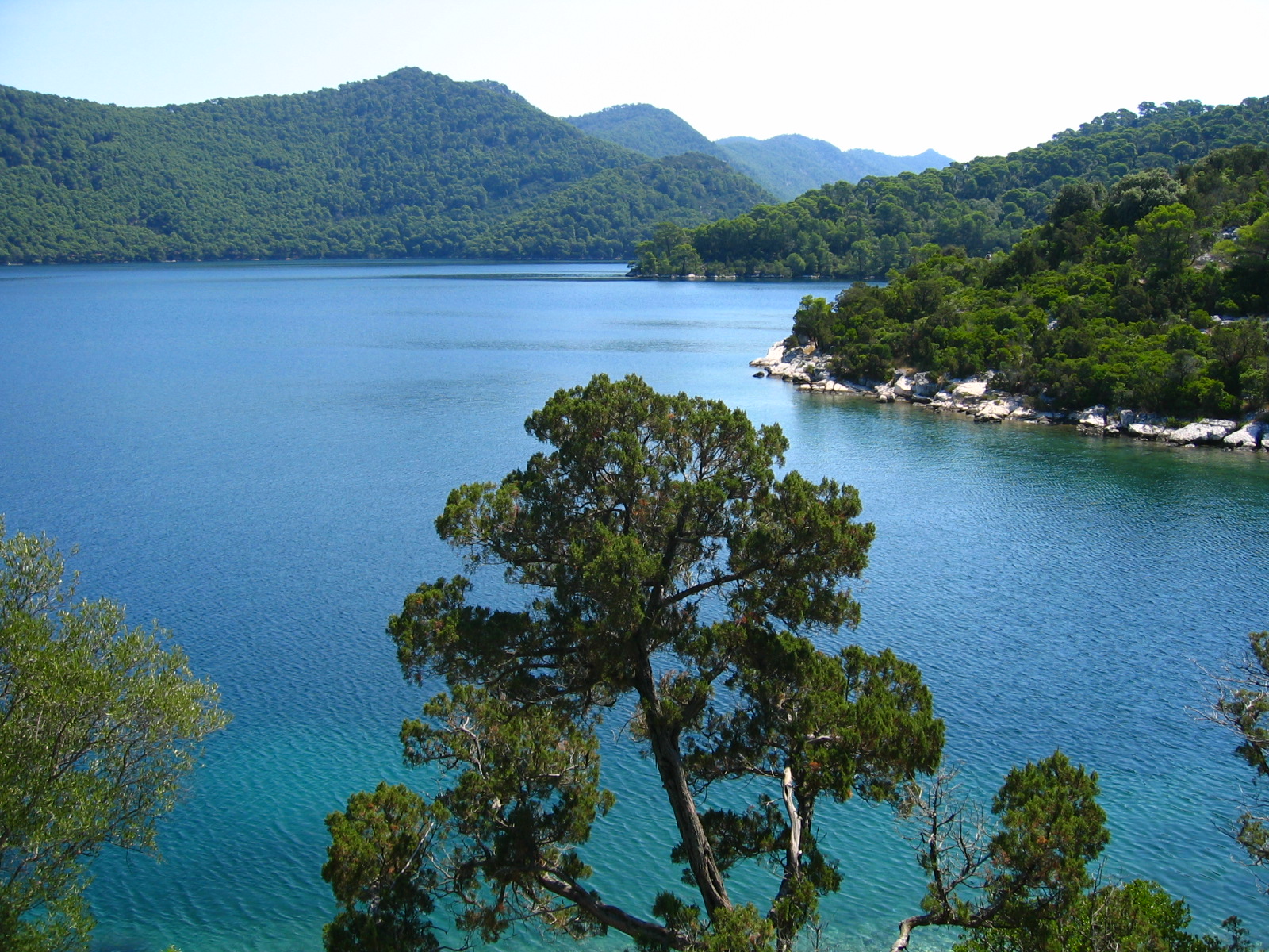   bntpal_1457160768_82