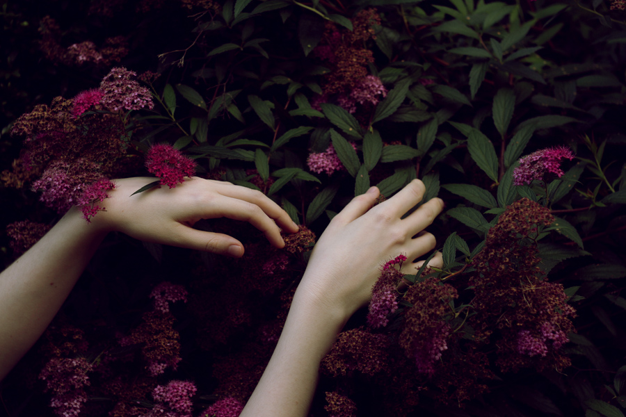 bntpal_1457199764_22