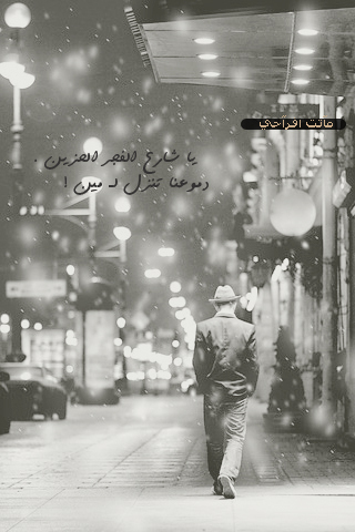   bntpal_1457292597_68
