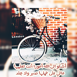 bntpal_1457292758_97