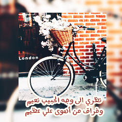 bntpal_1457292758_97