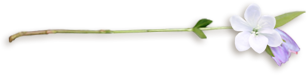 bntpal_1457499124_26