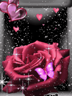 bntpal_1457505023_34