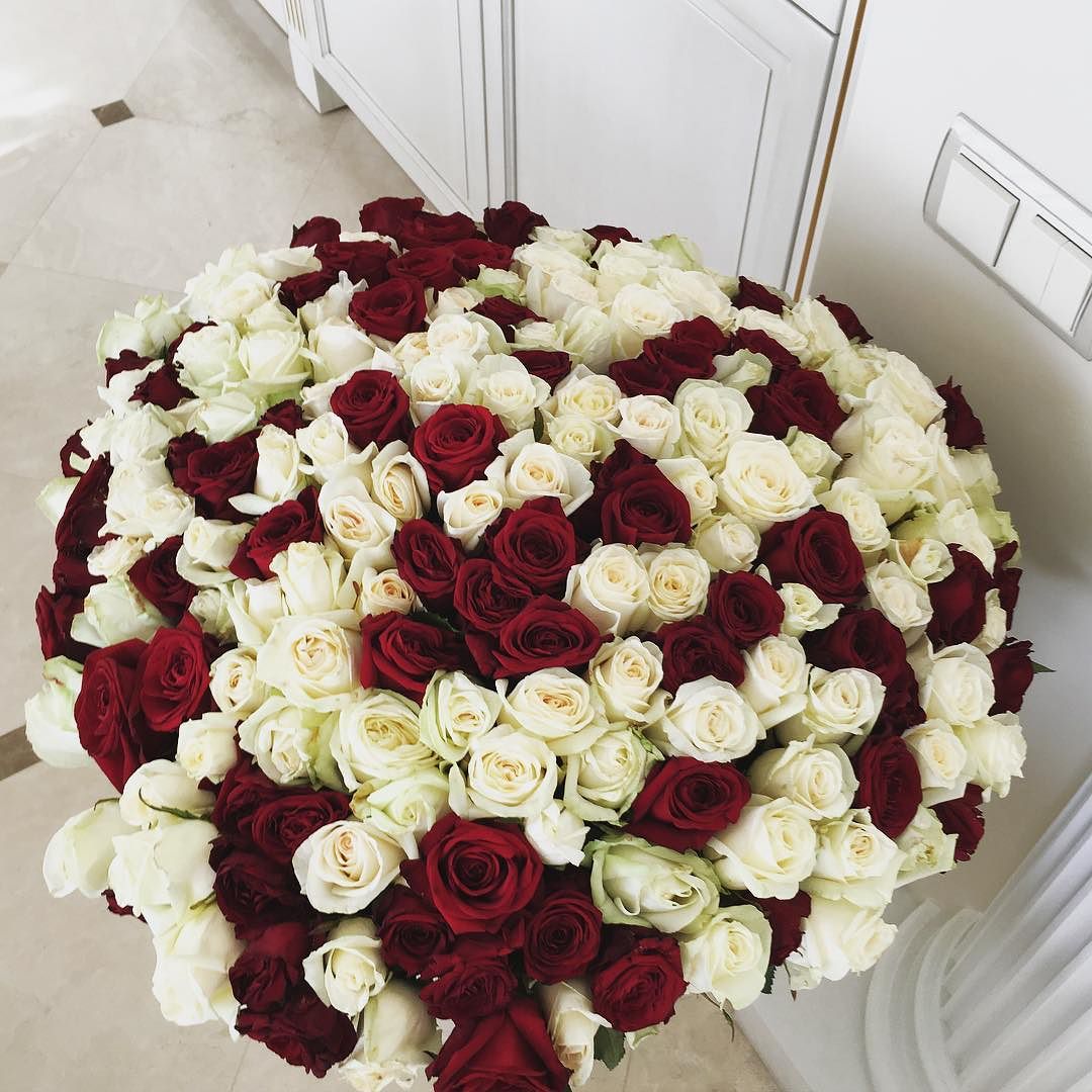 **٘ ٘ . bntpal_1457593006_18