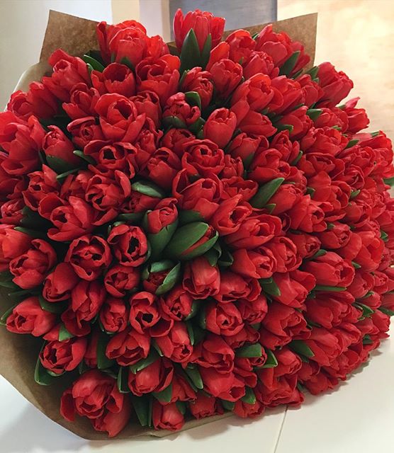 **٘ ٘ . bntpal_1457593006_30