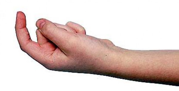 bntpal_1457600911_65