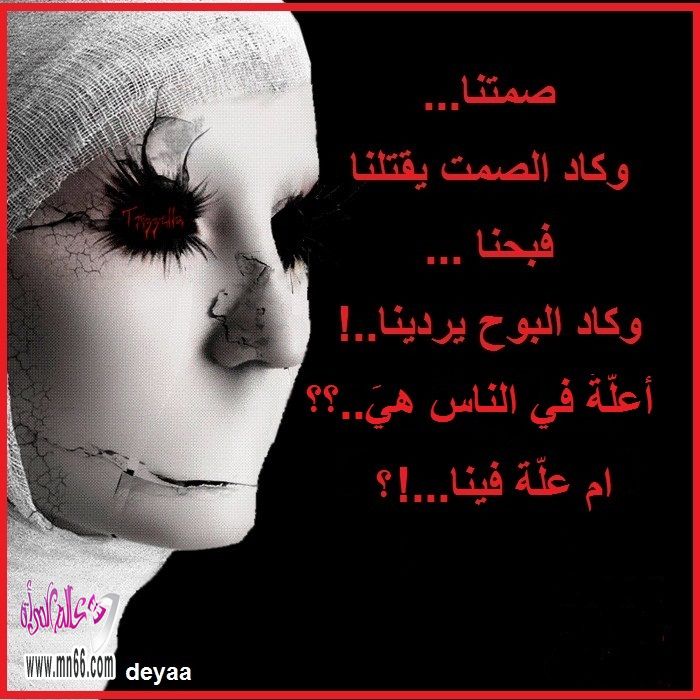 bntpal_1457625404_82