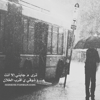  bntpal_1458062260_43