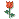 bntpal_1458150046_44