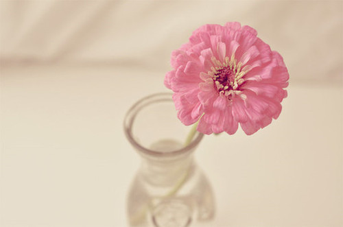  bntpal_1458318666_88