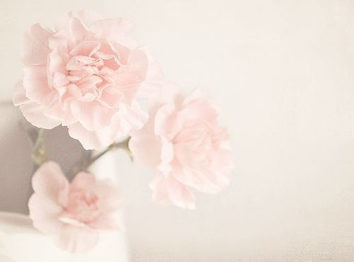  bntpal_1458318667_70
