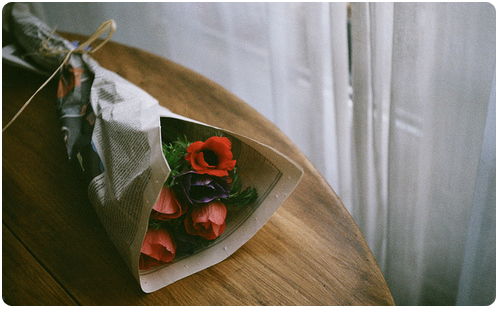  bntpal_1458318671_99