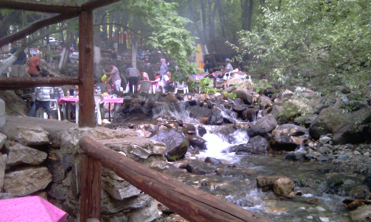  bntpal_1458398747_32
