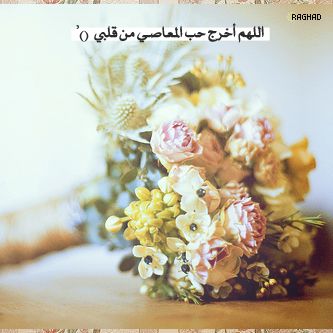  ٰ ٓ ٰ bntpal_1458621693_29