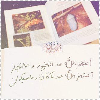  bntpal_1458622074_29