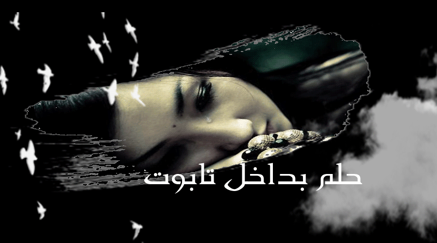 bntpal_1458635201_33
