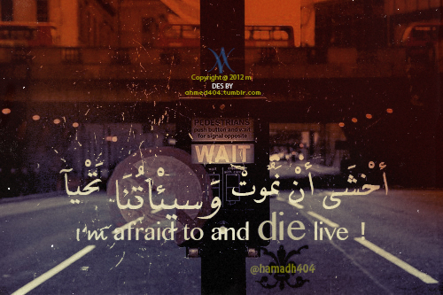 ♥ bntpal_1458843044_20