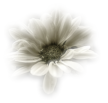 bntpal_1458931712_61