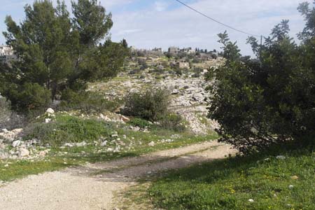  !! bntpal_1458980575_64