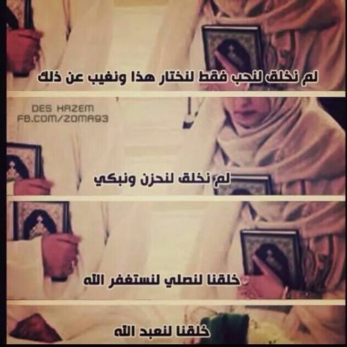 ☺ bntpal_1459055129_37