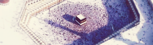 ‬ bntpal_1459075308_45