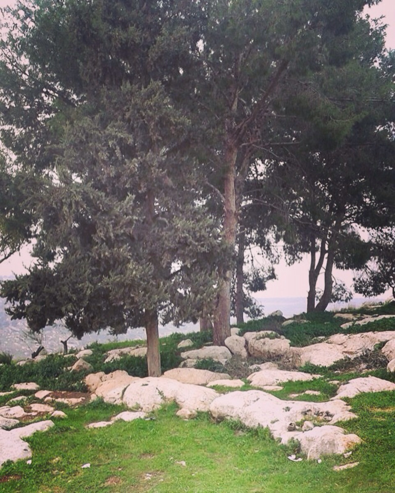   .. . bntpal_1459112192_39