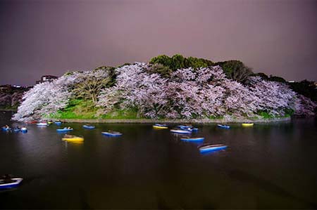 bntpal_1459173196_18