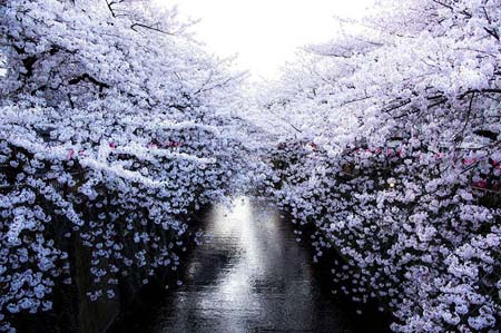  bntpal_1459173197_12