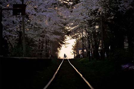  bntpal_1459173197_67