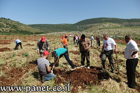bntpal_1459174633_96