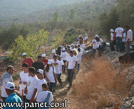 bntpal_1459174634_67