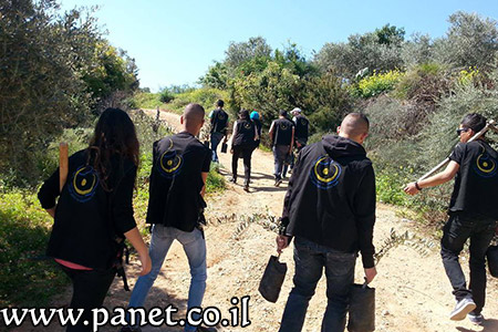 bntpal_1459174635_55