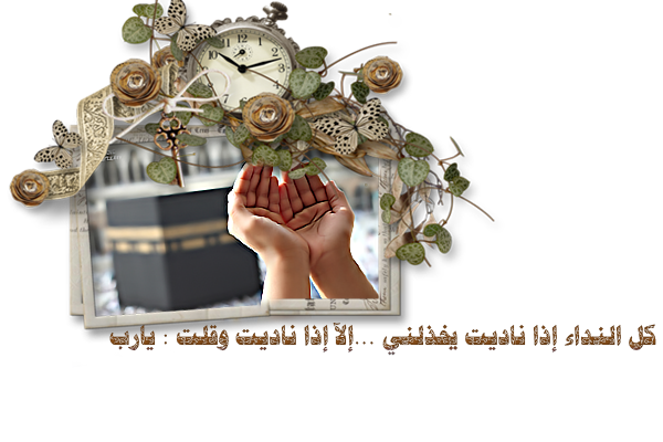  bntpal_1459420334_94