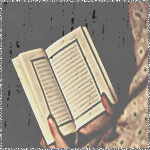  bntpal_1459420335_41