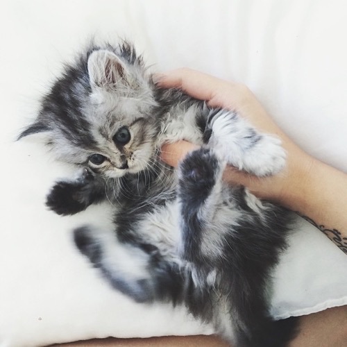  ☺ bntpal_1459539489_17