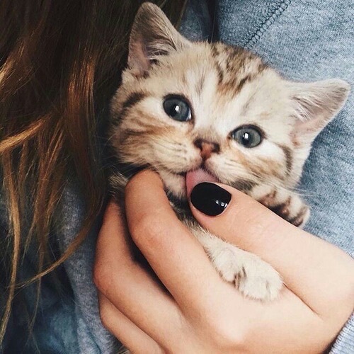 ☺ bntpal_1459539489_27