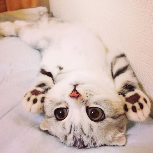  ☺ bntpal_1459539490_19