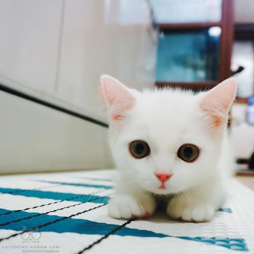  ☺ bntpal_1459539490_59