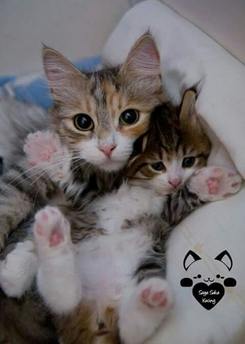  ☺ bntpal_1459539492_30