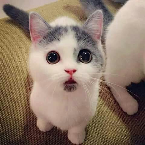  ☺ bntpal_1459539492_76
