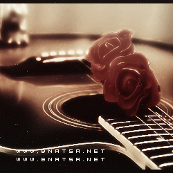 《 》 bntpal_1459884142_87