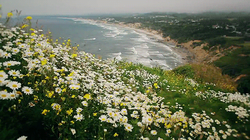 bntpal_1459930794_34