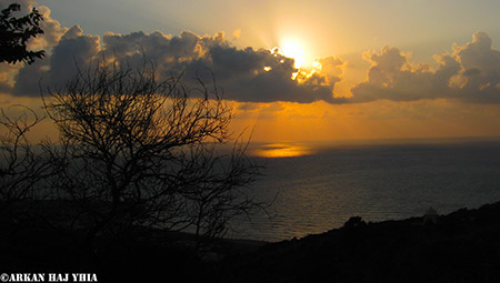  bntpal_1460130888_89