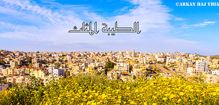  bntpal_1460130890_80
