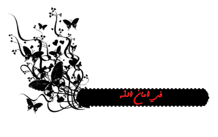  bntpal_1460254919_41