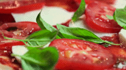  bntpal_1460259413_15